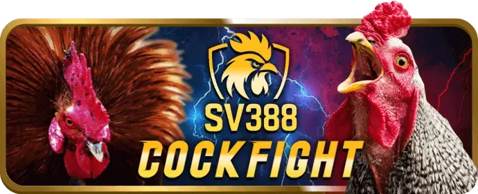 Tải và Đăng ký wstar77 App